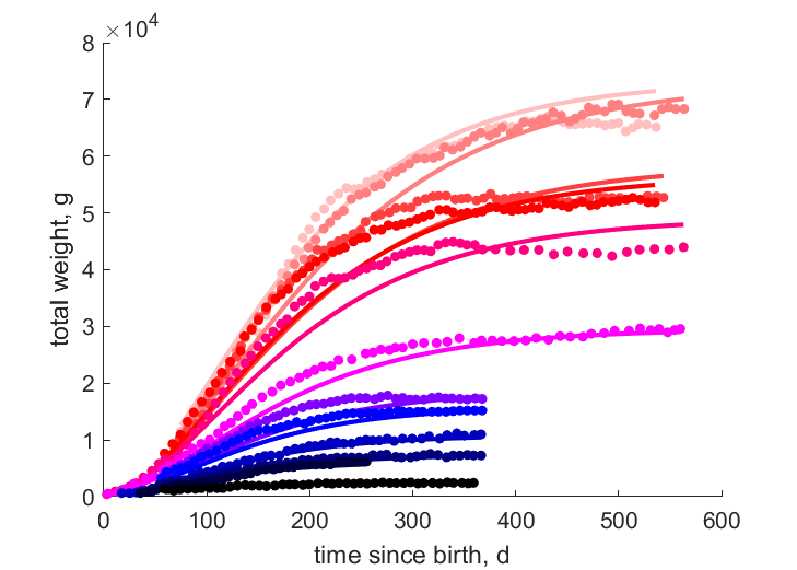 Data for races E, SB, I, G, N, L, B, S, CS, M, CT, P